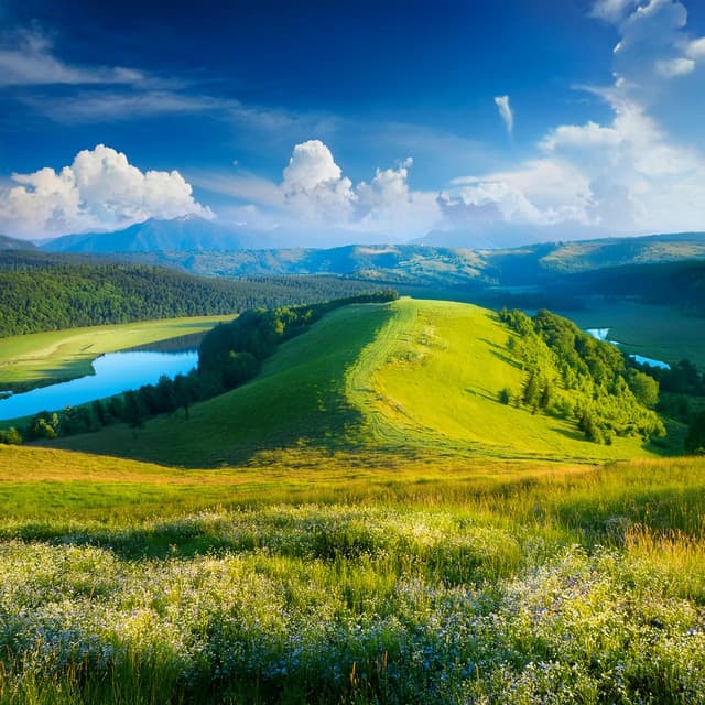 Tonos Pacíficos: Estructura Musical Lofi - Chill-hop atmosférico