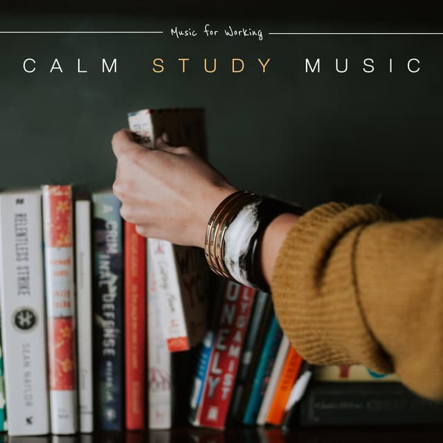 Calm Study Music - Music for Working