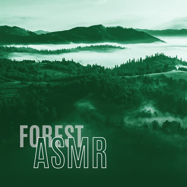 Forest ASMR - Relax & Meditation, Morning Nature Sounds - Nature Sounds Universe