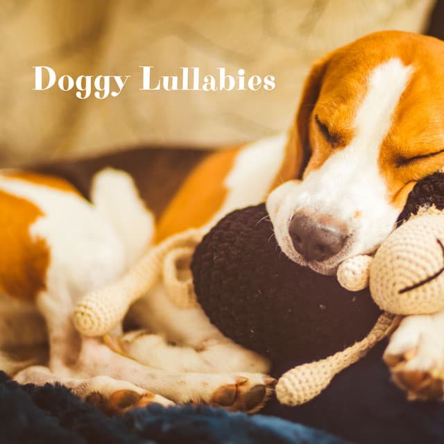 Doggy Lullabies: Soothing Music Therapy for Dogs for Peaceful Sleep - Sleepy Dogs Hz