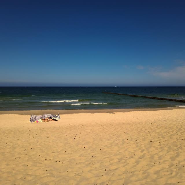 Beautiful Girl from Poland - Jazzy Coffee