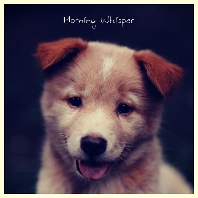Morning Whisper - Dog Music