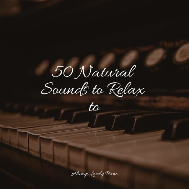 Piano for a Calming Ambience - Concentrate with Classical Piano