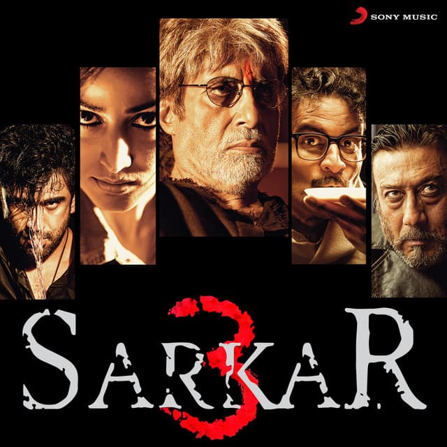 Sarkar 3 - Ravi Shankar