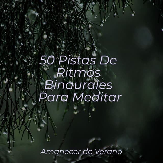 50 Pistas De Ritmos Binaurales Para Meditar - Relajacion Del Mar