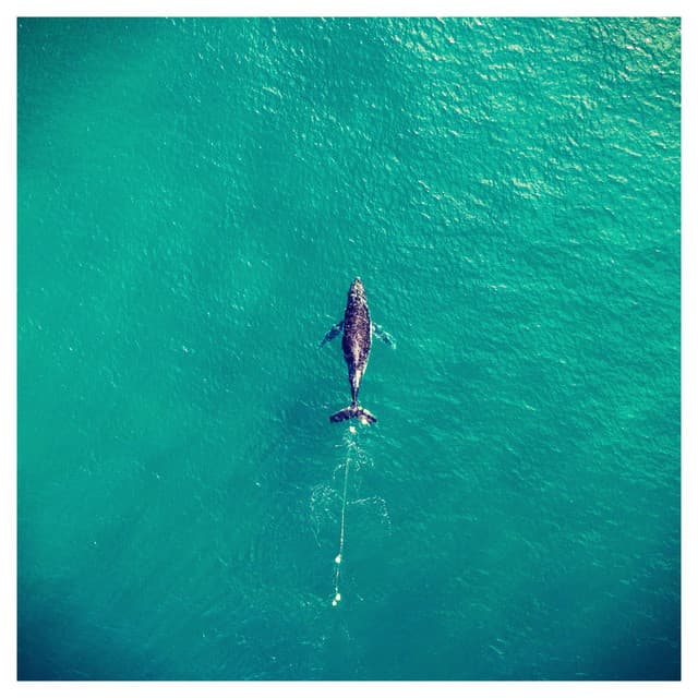 Serenity Spa Music Relaxation - Serenity Spa Music Relaxation