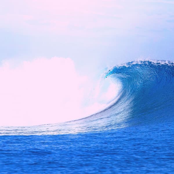 Backdrop for Travels - Bossanova - Dinner Party Music