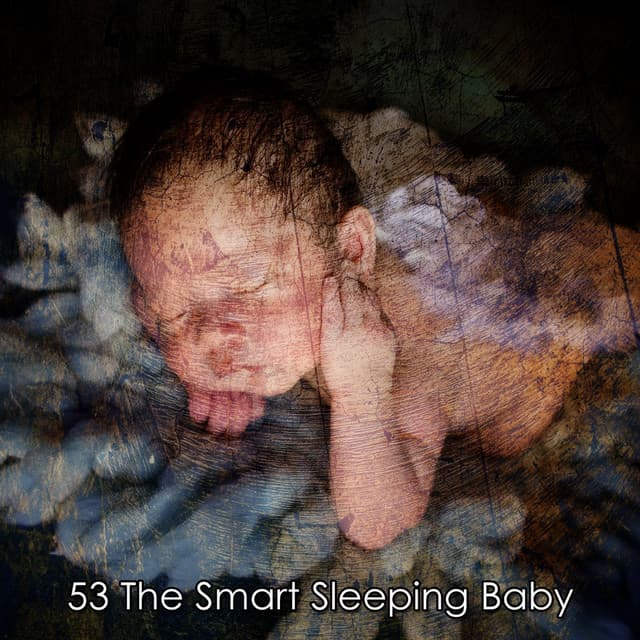 53 The Smart Sleeping Baby - Zen Life Relax