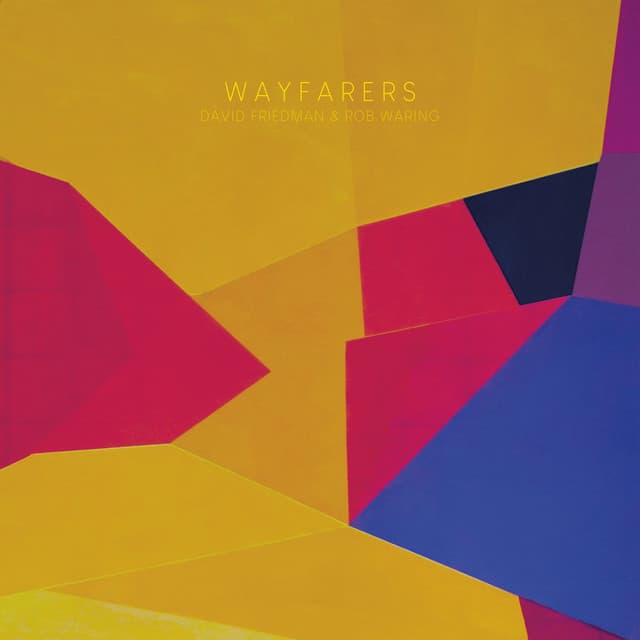 Wayfarers - David Friedman