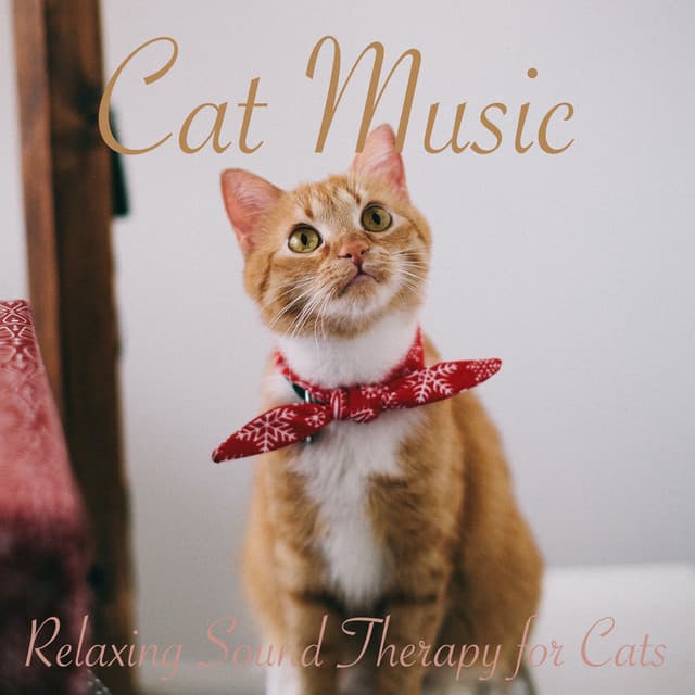 Cat Music: Relaxing Sound Therapy for Cats - Cat Music