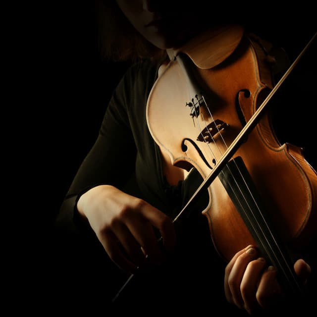 Harmonious Orchestra for a Cat’s Relaxation - Charles Anderson