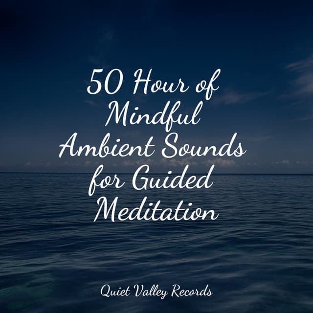 50 Hour of Mindful Ambient Sounds for Guided Meditation - Entspannungsmusik