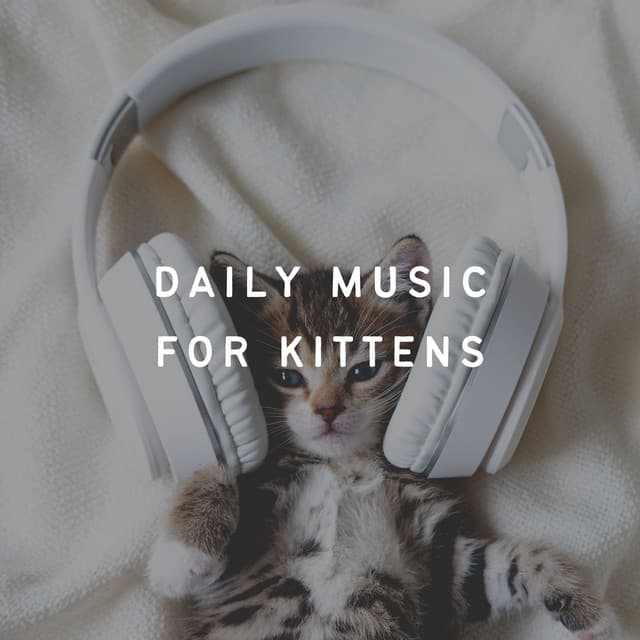 Daily Music for Kittens - Cat Music