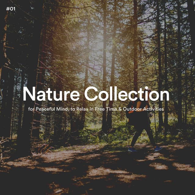 #01 Nature Collection for Peaceful Mind, to Relax in Free Time & Outdoor Activities - The Nature Soundscapes