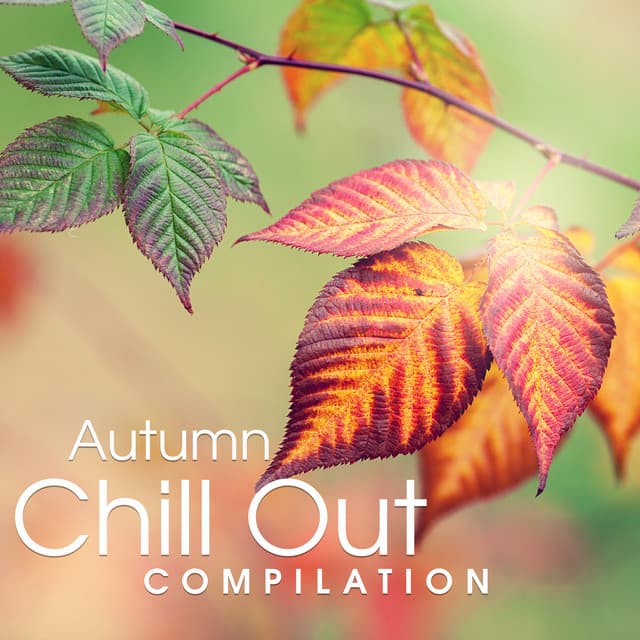 Autumn Chill Out Compilation – New Beats, Chill Out Music, Electronic Vibes, Relax - Summer Experience Music Set
