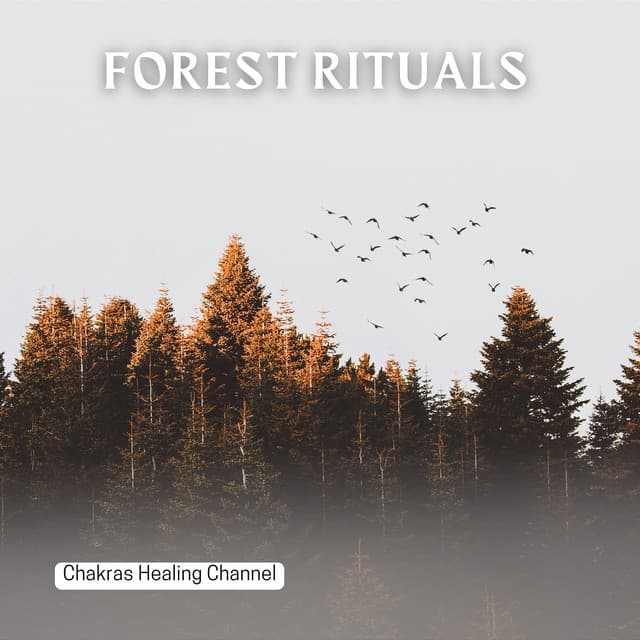 Forest Rituals: Tribal Soundscapes - Chakras Healing Channel