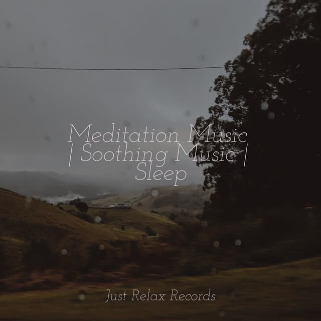 Meditation Music | Soothing Music | Sleep - Baby Songs & Lullabies For Sleep