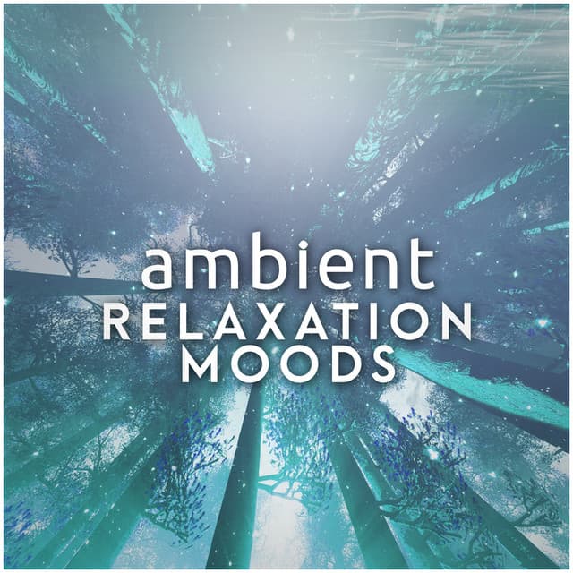 Ambient: Relaxation Moods - Zen Moods