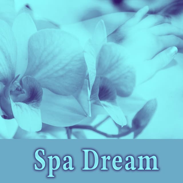 Spa Dream – Fabulous Nature Sounds, Beautiful Sounds for Massage & Spa Treatments, Inner Peace, Deep Relaxing Music - Day Spa Academy
