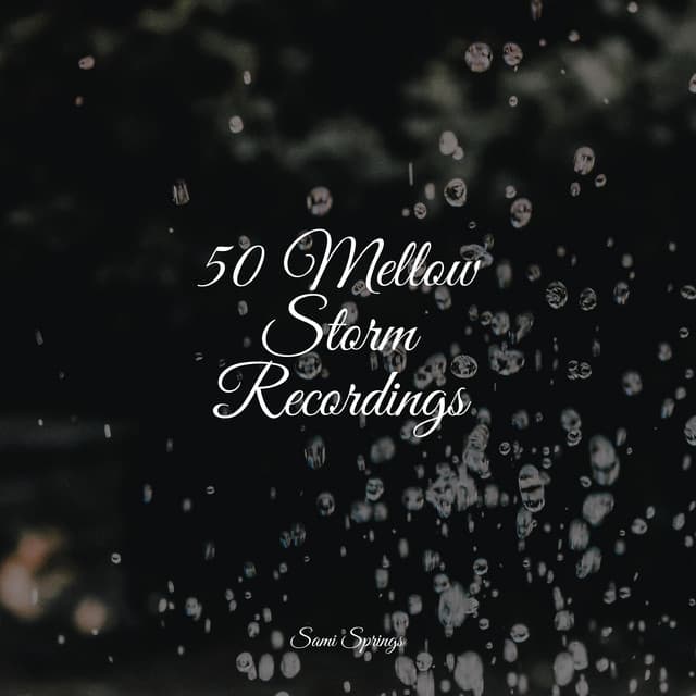 50 Mellow Storm Recordings - Sleep Songs 101
