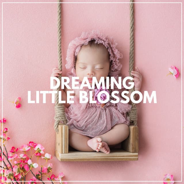 Dreaming Little Blossom - Help Your Baby Sleep Through The Night