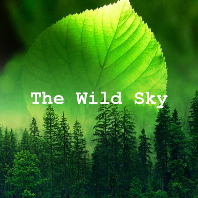 The Wild Sky - Calming for Dogs