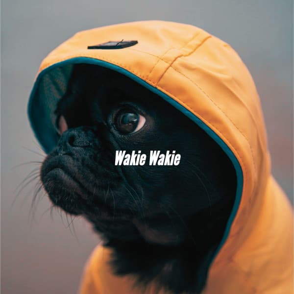 Wakie Wakie - Chill Cafe Music