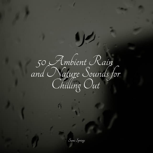 50 Ambient Rain and Nature Sounds for Chilling Out - White Noise For Baby Sleep