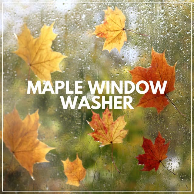 Maple Window Washer - Rain Meditations
