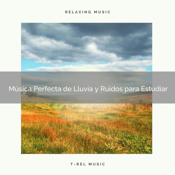Música Perfecta de Lluvia y Ruidos para Estudiar - Ruido Para Bebé