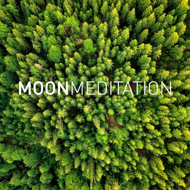 Restful Night Serenades - Moon Meditation