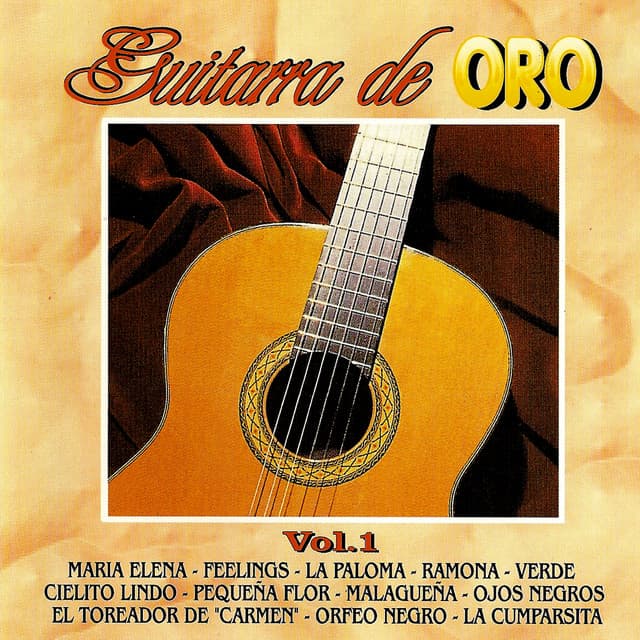 The Guitar Experience