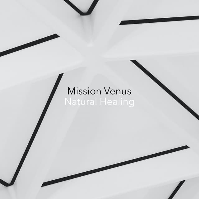 Mission Venus