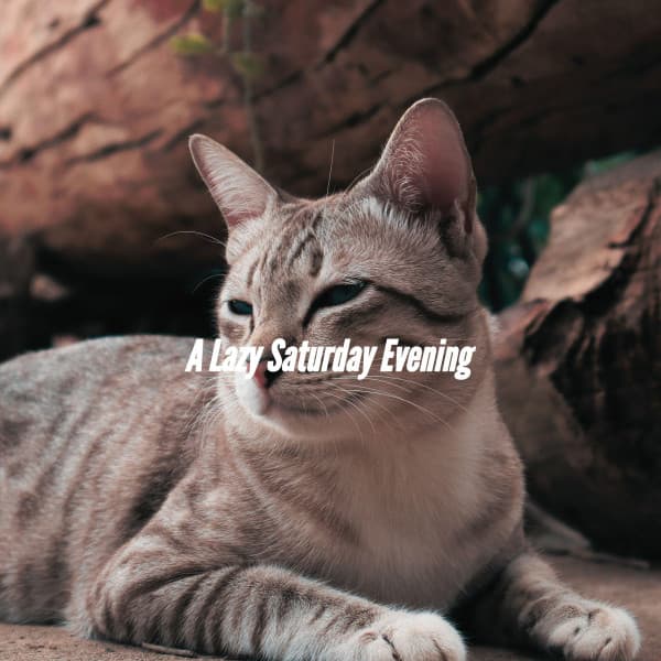 Early Morning Chill Out Playlist