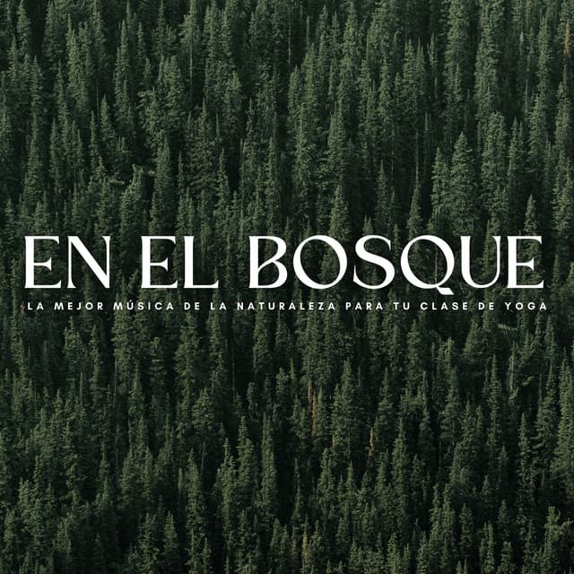 En El Bosque: La Mejor Música De La Naturaleza Para Tu Clase De Yoga - Grabaciones de la naturaleza
