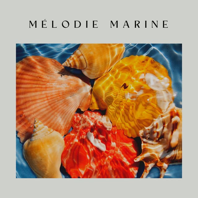 Mélodie Marine - Oasis de sommeil