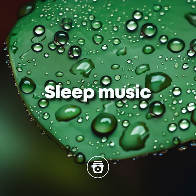 Sleep Music - Rain Sounds Nature Collection