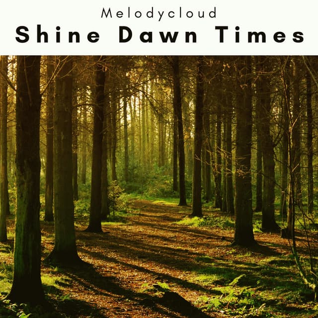 1 0 1 Shine Dawn Times - Melodycloud