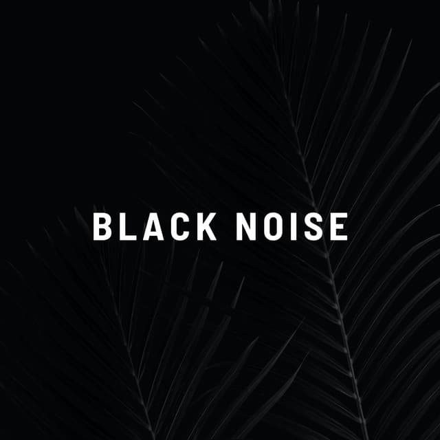 Black Noise - Black Noise Sleep