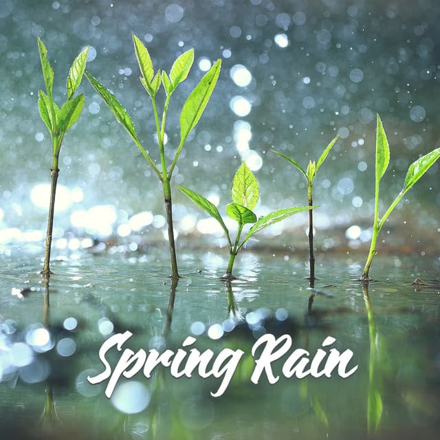 Spring Rain: Meditation for Regeneration & New Energy - Sounds Effects Academy