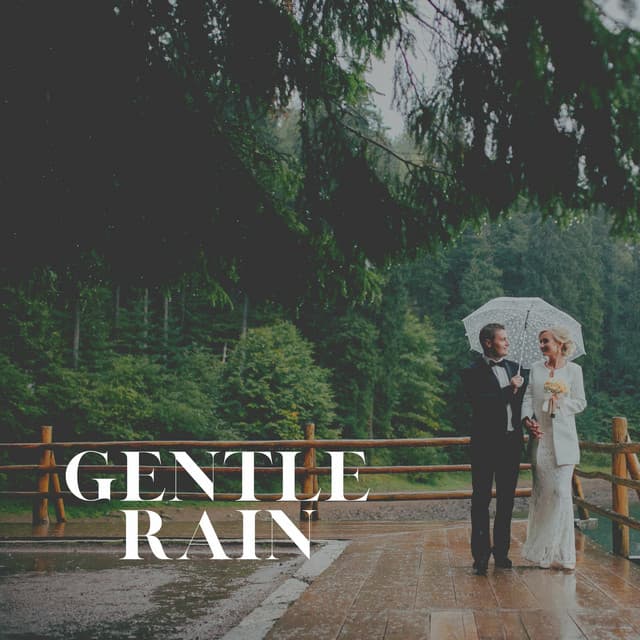 Gentle Rain - Always Raining