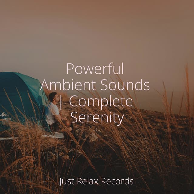Powerful Ambient Sounds | Complete Serenity - Study Music & Sounds