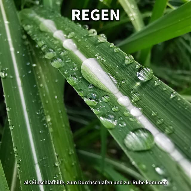 Regen als Einschlafhilfe, zum Durchschlafen und zur Ruhe kommen - Regengeräusche