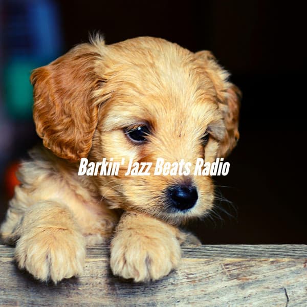 Barkin' Jazz Beats Radio - Sleeptime for Dogs