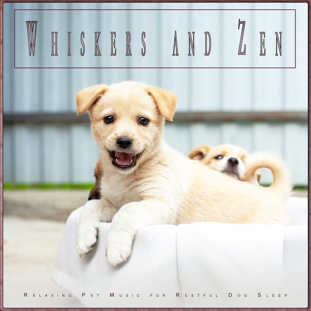 Whiskers and Zen: Relaxing Pet Music for Restful Dog Sleep - Dog Music Experience