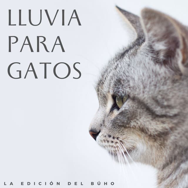 Lluvia Para Gatos: La Edición Del Búho - El sonido de la lluvia