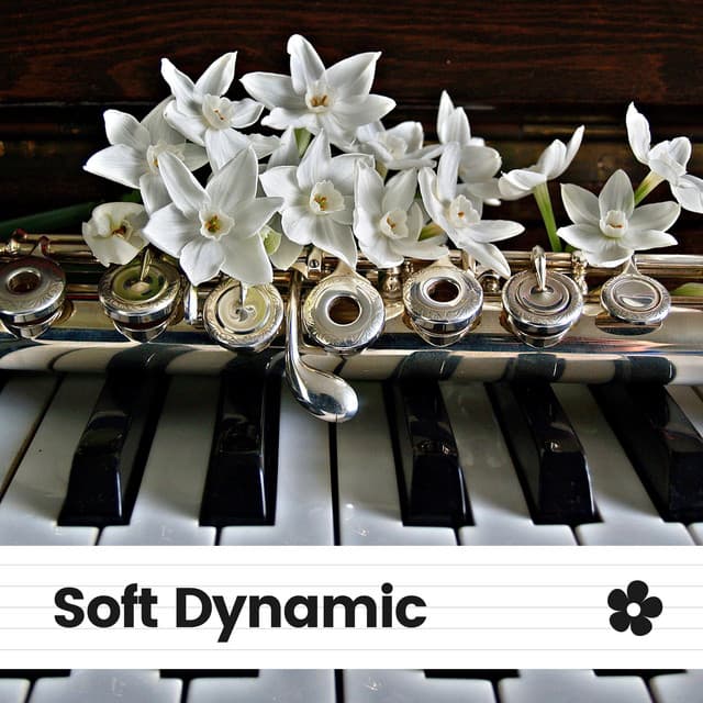 Soft Dynamic - Relaxed Minds