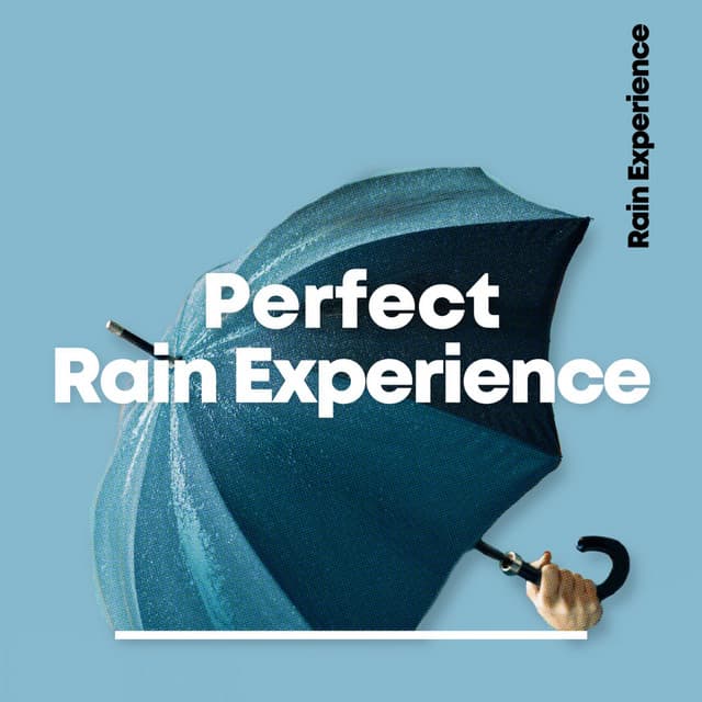Perfect Rain Experience - Rain Sounds Nature Collection