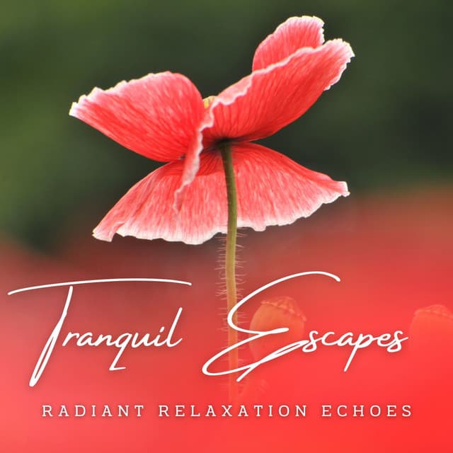 Tranquil Escapes: Meditative Melodies for Relaxation - N.Y. Atmosphere