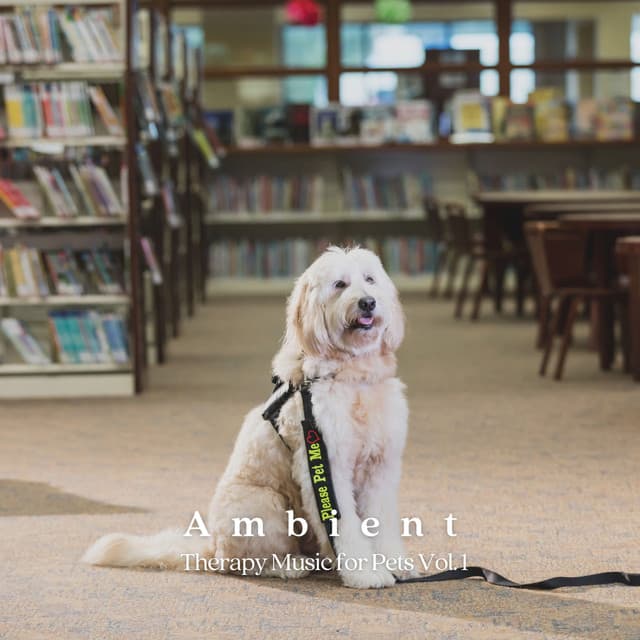Ambient: Therapy Music for Pets Vol. 1 - Reiki for Animals